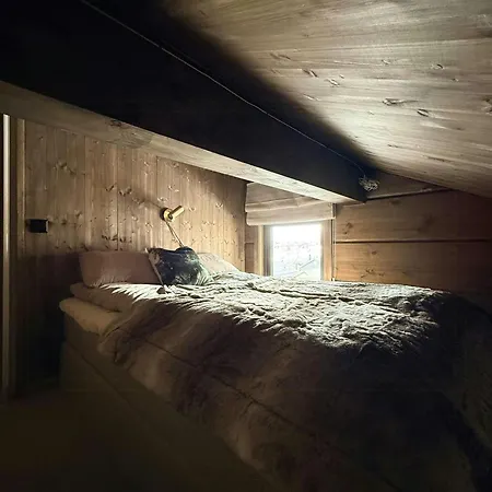Log With Inout At